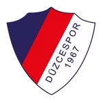 Düzcespor logosu